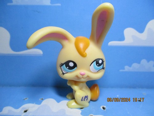 Petshop lapin garenne - lapin,