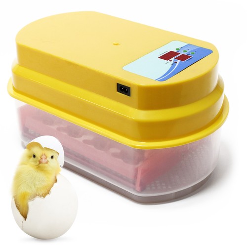 Couveuse automatique oeufs - 12,