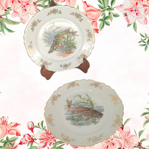 Assiette plate ancienne decor