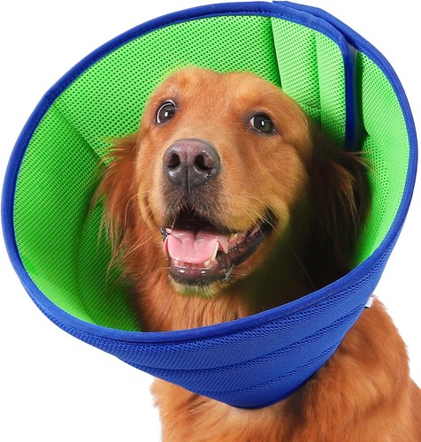 Collerette chien souple - collerette,