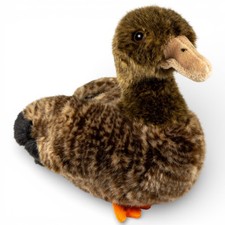 Canard Carl Dick, canard