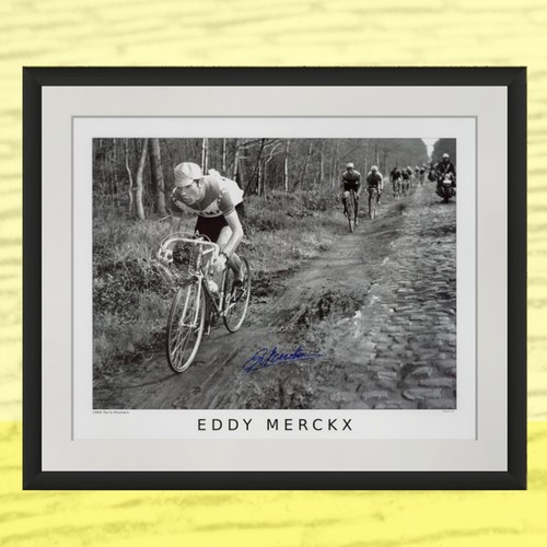 Eddy merckx signed print - eddy,