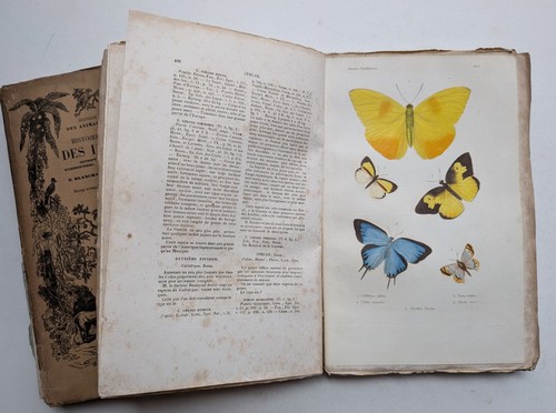 Histoire naturelle des - naturelle,
