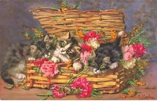 Animals - Cat - D. Merlin - Cats in a Wicker Suitcase Filled with Carnations