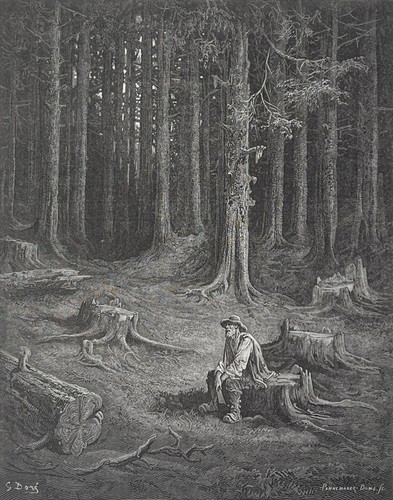 Forêt le bucheron - la,