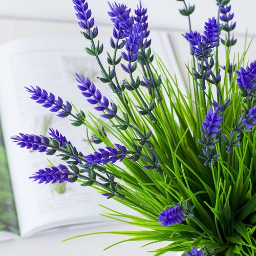 Plantes artificielles - , en