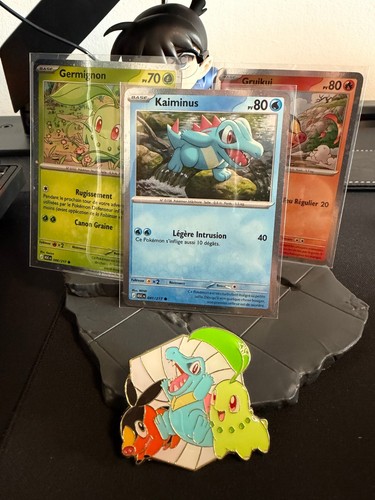 Cartes pokémon gruikui - pokémon,