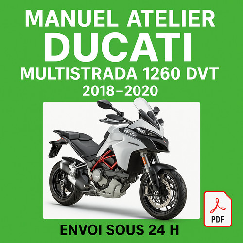 Manuel atelier ducati - manuel,