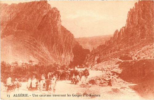 Cpa algeria une caravane - algeria,