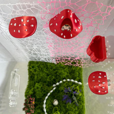 Jumping Spider Accessories Kit