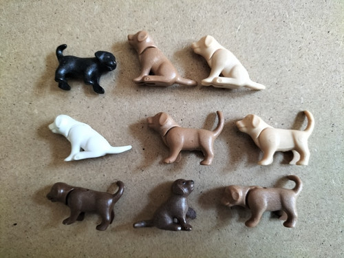 Playmobil lot chiots - 9,
