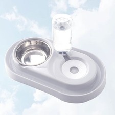 Gamelle Pour Chiot Bol De