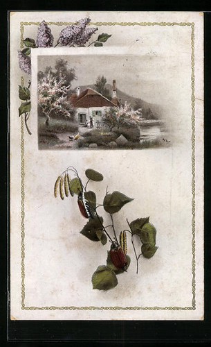 Carte postale passe-partout