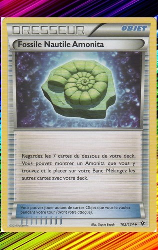 Fossile nautile amonita xy10 - -,