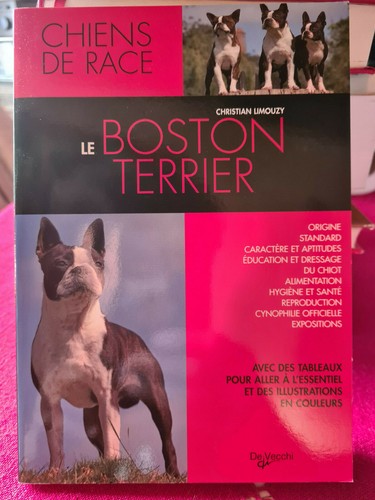 Chien race le boston - chien,