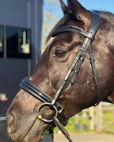 Bride cuir cheval - bride, en