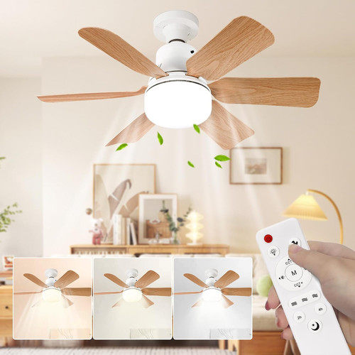 Ventilateur plafond avec - ventilateur,