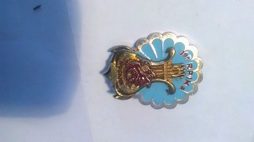 Insigne pucelle rpima - 1, para