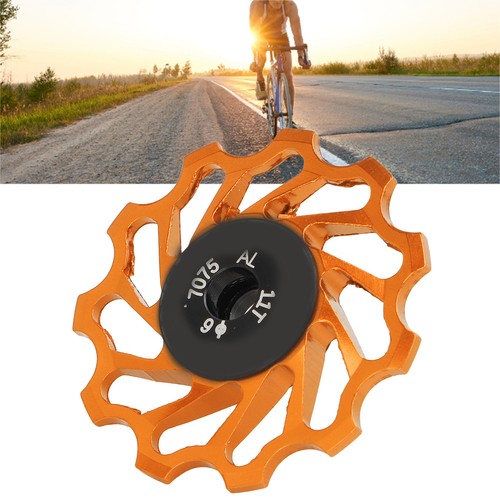 Mountain bike rear - bike, derailleur
