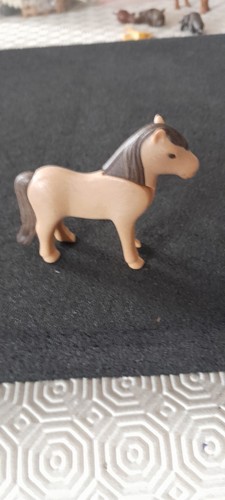 Animal poney centre equestre - animal,