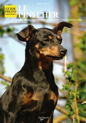 Pinscher filippo cattaneo - pinscher,