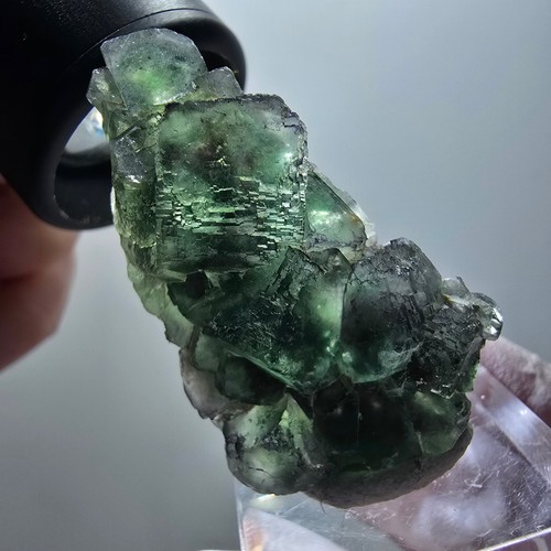 Marche pied fluorite - en,