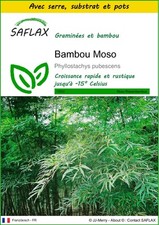 SAFLAX - Kit de culture -