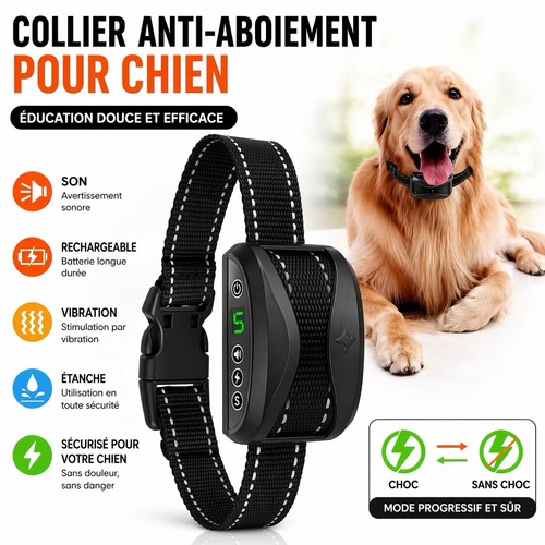 Collier anti aboiement chien - collier,