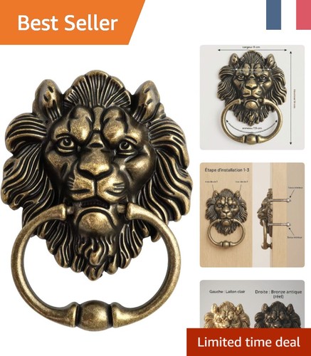 Knocker bronze tête - bronze, de