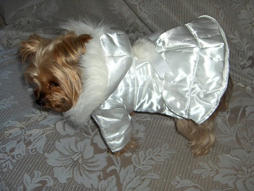 Dog clothes reversible hood - reversible,