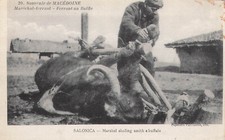 CP MARECHAL FERRANT FERRANT UN BUFFALO Ref: 163G023