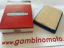 Filtre à Air Moteur Briggs &