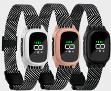 Collier dressage chien