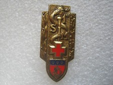 ANCIEN INSIGNE EMAIL 1° SIM