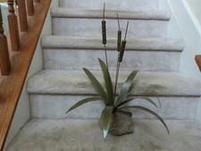 VTG MCM Eams Era Brutalist