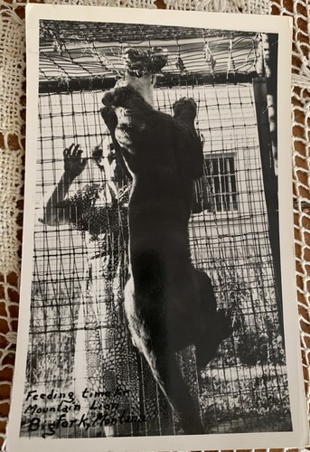 Rppc photo postcard woman - rppc,