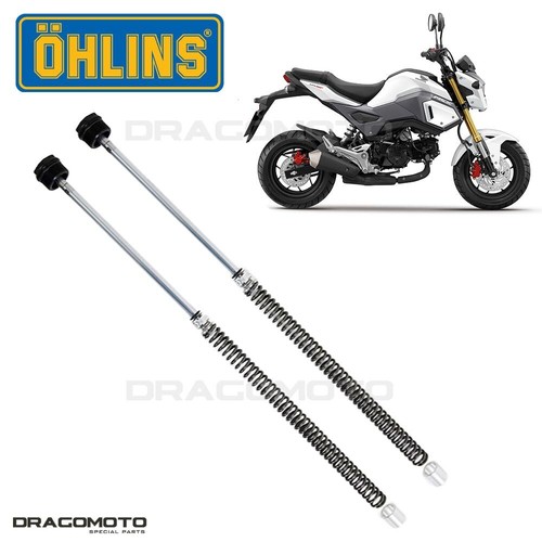 Honda msx 125 - 125, grom