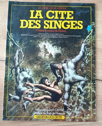Livre jungle la - le, cite
