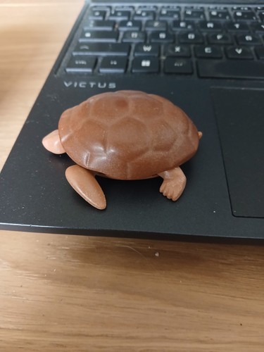 Tortue geante terrestre - tortue,