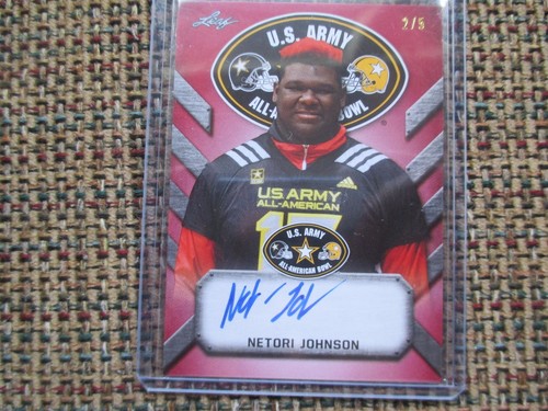 Netori johnson georgia 2017 - netori,