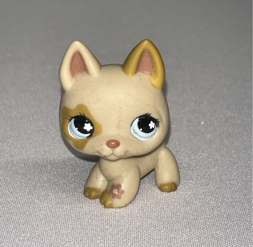Hasbro lps original little - lps,