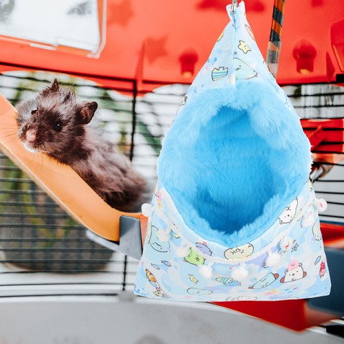 Accessoires cochon inde - accessoires, lits