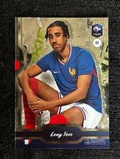CARTE PANINI FRANCE BLEU