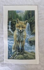 coupon couture renard