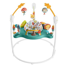Fisher-Price Whimsical Forest