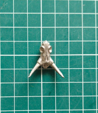 Warhammer Old world :  Pièces