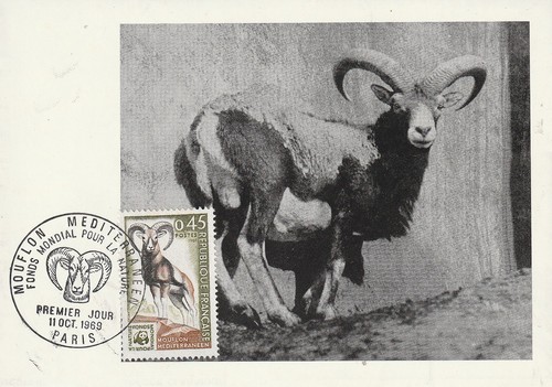 Carte 1er jour - , le