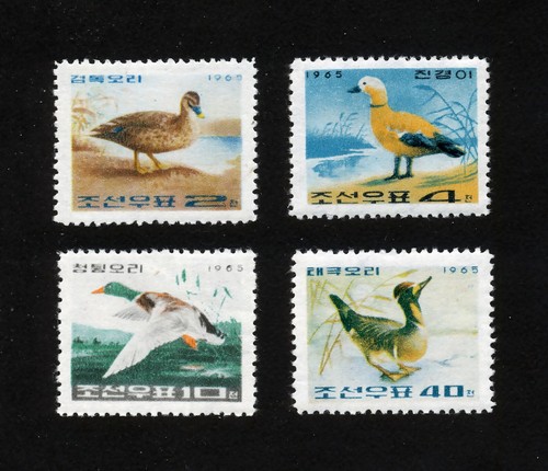 Corée faune oiseaux canards - corÉe,