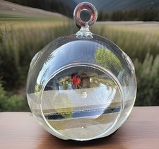 4.5" Glass Orb Hanging Air