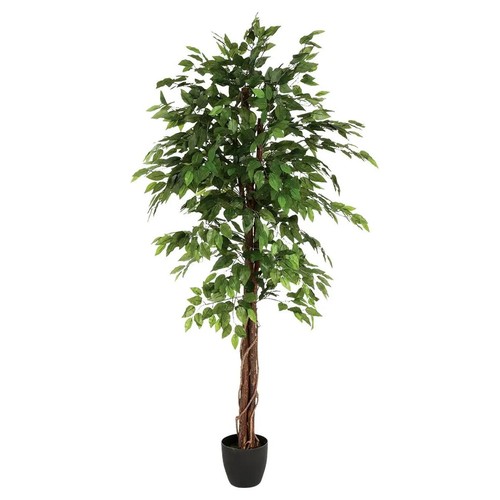 Plante artificielle ficus - plante, "ficus"